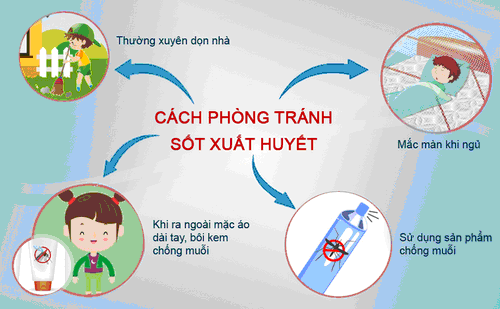 ẢNH 2 SỐT XUẤT HUYẾT.png