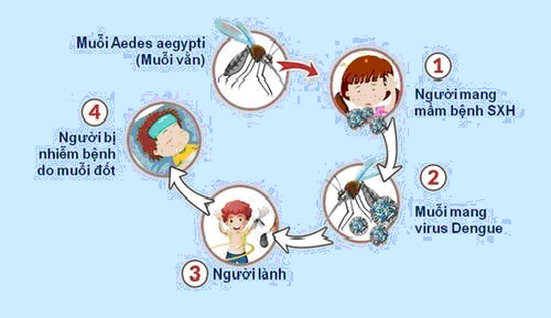 ẢNH 1 SỐT XUẤT HUYẾT.png